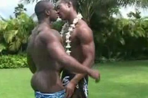 Marcs Hawaiian Dream
