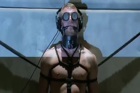 12-twenty one 10 Prisoner