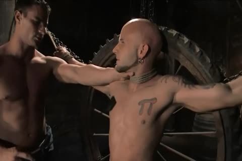 Sadomasochism - The Farmer And The Punk.