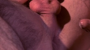 Top To Bottom : Woody Fox - Woody Fox brutaly Hump