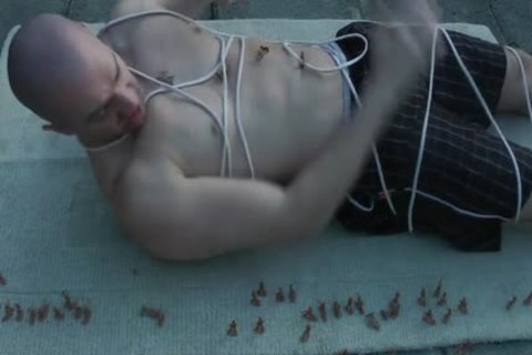 diminutive Army Vs biggest big