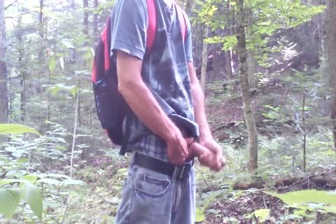 Forest And Nature Are My much loved Places. 2