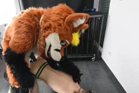 Puppy receives drilled By Fursuit With  fake penis