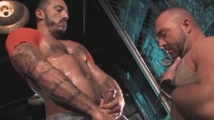 Bear goes for sloppy fucking