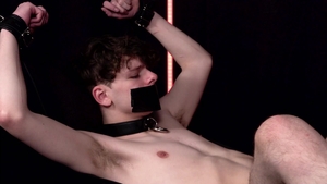 boundtwinks: BDSM Twinks: A Gaggle of Fun