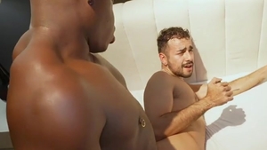 Texas Bull Breeding Dominic Barr arsehole