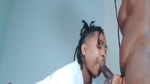 Rasta