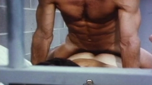 Falcon Studios: Falcon Flashback to the Sensational Seventies