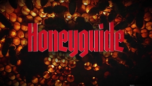 Disruptive Films: Breaking All Limits in Honeyguide